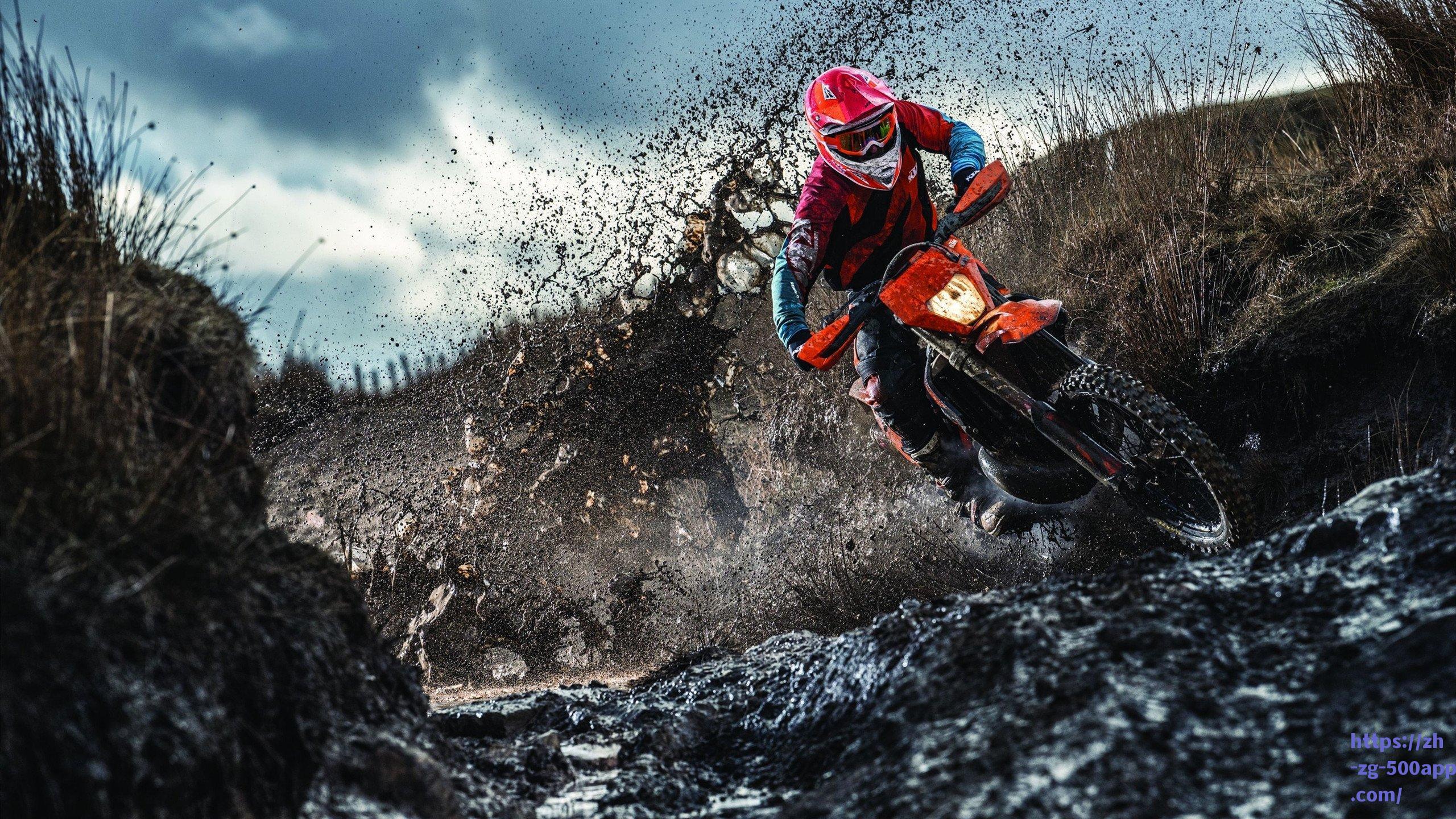 中国女子重剑队问鼎2019世界击剑锦标赛团体冠军